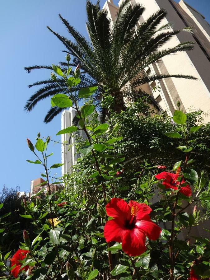 Best View - Welcome Penthouse Apartamentos Karola Benidorm Bagian luar foto