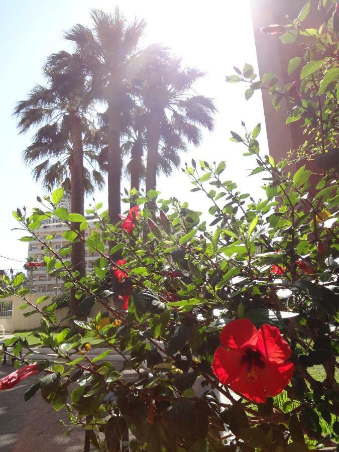 Best View - Welcome Penthouse Apartamentos Karola Benidorm Bagian luar foto